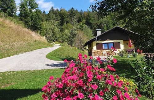 Ledenitzen House | Der Hang zum Süden-ferienhaus - Ferienhaus