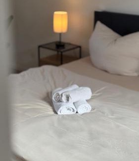 Deidesheim Apartment | Design Penthouse im alten Schloss Deidesheim