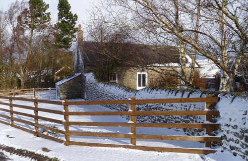 Tarset Cottage | Detached Cottage With Private Walled Garden
