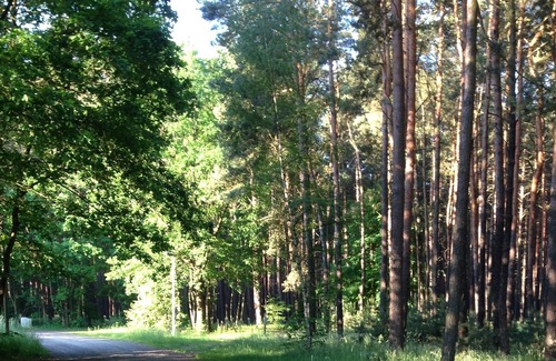 Gussow House | Detached holiday home, lake u. Near the forest, very quiet and green