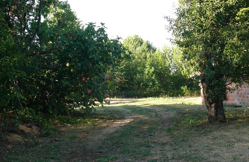 La Douze House | Detached house with shaded terrace, large plot, quiet.