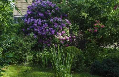 Boijl House | Detached vacation home in Friesland with private garden in very quiet area