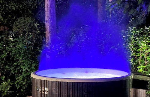 Norg Ski Chalet | Detached wooden cottage in the forest with Sauna, Hot tub and outdoor shower