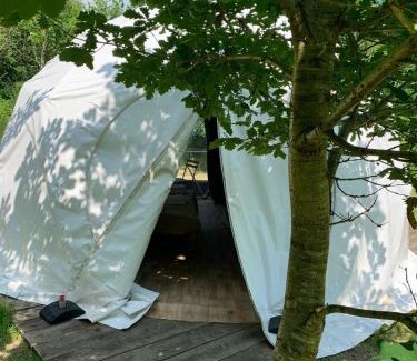 Blackford Other | DGG Woodland Escape