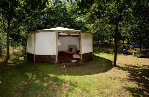 Blackford Other | DGG Woodland Escape