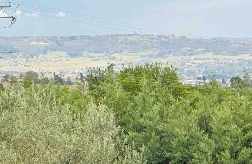 Raglan Villa | Dhanda Farm Bathurst