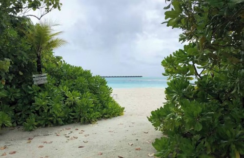 Dhiffushi Apartment | Dhiffushi Tourist Hotel, Maldivesnn