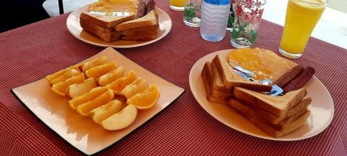 Dhiffushi Hotel | Dhiffushi Tourist Hotel