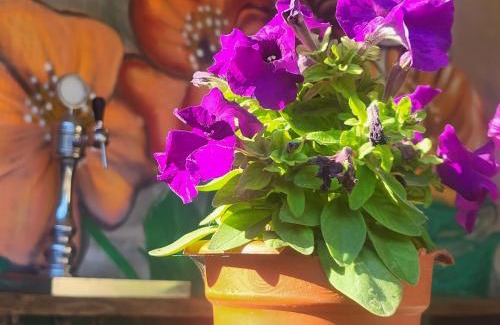 Rucar House | Diana's Holiday Home