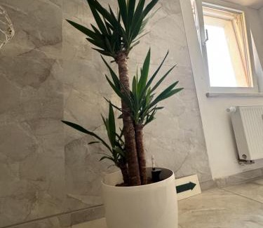 Jesewitz Apartment | Die Terrassenmaisonette mit Stil