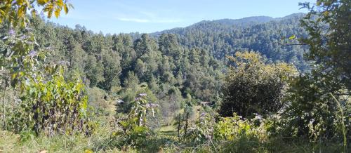 San Jose del Pacifico House | Digital detox