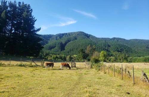 Villarrica Ski Chalet | Digueñe Pedregoso
