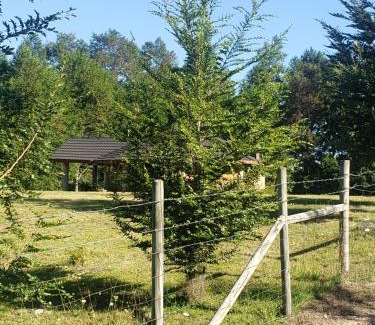 Villarrica Ski Chalet | Digueñe Pedregoso