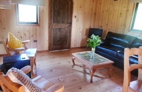 Villarrica Ski Chalet | Digueñe Pedregoso