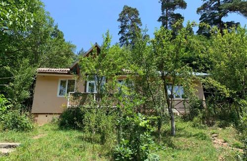 Dilijan Apartment | DILI Cottage