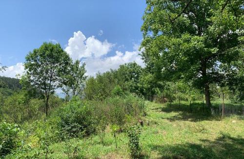 Dilijan Apartment | DILI Cottage