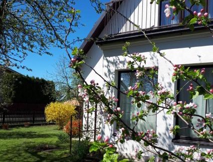 Druskininkai Apartment | Dina Apartments