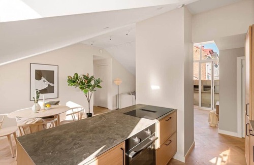 Grunerlokka Apartment | Dinbnb Apartments Grunerlokka I Penthouse Dream
