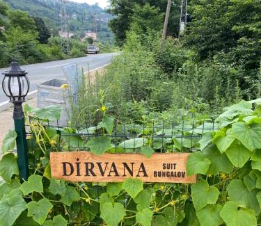 Pazar House | Dirvana suit bungalov