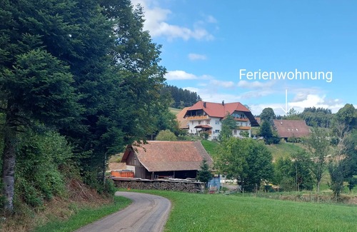 Biederbach Apartment | Dischhof - vacation apartment 90sqm, 3 bedrooms, max. 7 pers., 1 - 7 persons