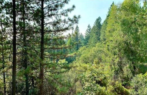 Apple Hill House | Discover the outdoors 1st Apple Hill exit Tahoe