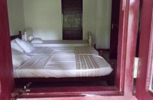 Pinnawala House | Diyagal Villa