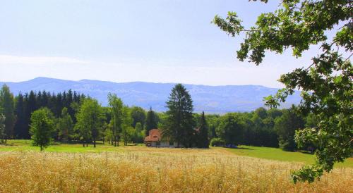 Bixad Cabin | Dobrica Hunting Lodge