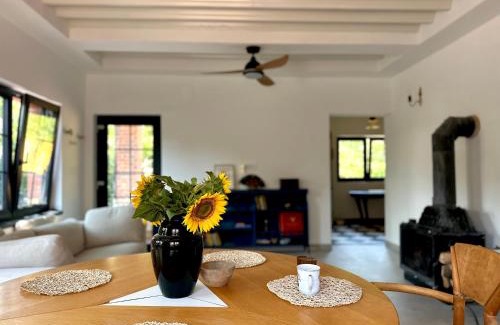 Moldovenesti House | Dock Cottage House