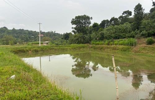 Mudigere House | Doddagadde Stays - Near to Ettina Bhuja trekking
