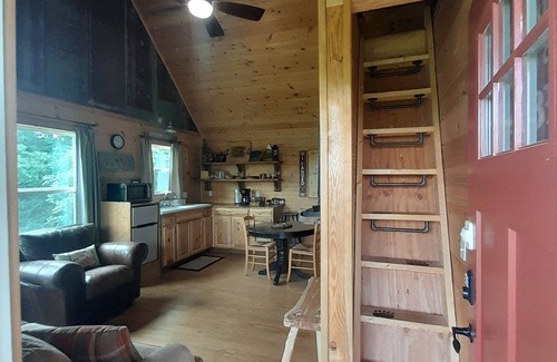 Huntsville Cabin | Dogwood Trail~Private Cabin Near Kings River