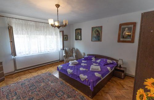 Alba Iulia Apartment | Doi Bujori