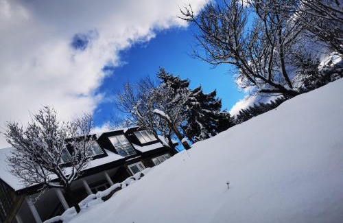 Borsa Ski Chalet | Doinita House