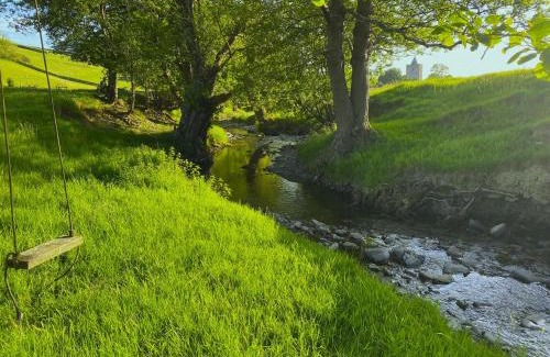 Llanilar Cabin | Dôl Swynol Glamping Luxury cabin with outdoor bath