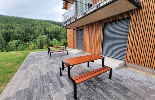 Dolni Morava Apartment | Dolní Morava 1 by Interhome
