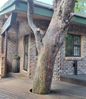 Lake Brenton Apartment | Dolphin
