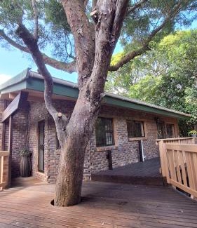 Lake Brenton Apartment | Dolphin