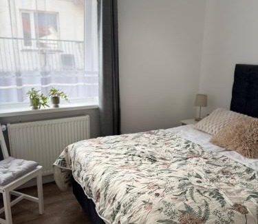 Wiselka Apartment | Dom Gościnny Ania, Apartament nr 6