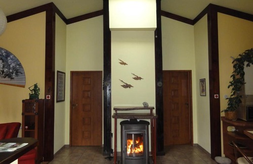 Goluchow House | Dom noclegowy ORIENT