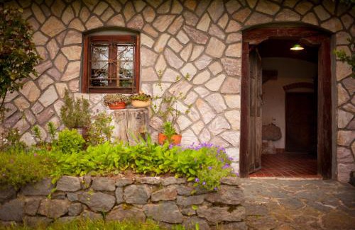 Luce Apartment | Domačija Koklej - Apartments Vintage Vacation