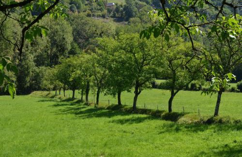 Villecomtal House | Domaine de Jouani - Pergola