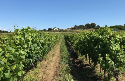 Roujan Bed & Breakfast | Domaine de Peilhan