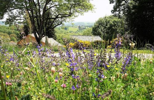 Saint-Germain-du-Teil Bed & Breakfast | Domaine des Maréquiers chambre Pimprenelle