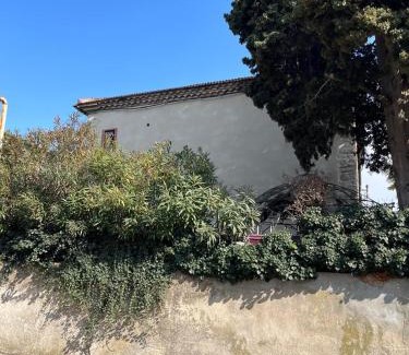 Alzonne Bed & Breakfast | Domaine du BaRon
