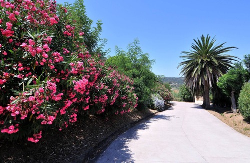 Cargese House | Domaine Saint Pierre