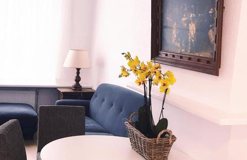 Watervogelbuurt Apartment | DomCity Apt Near Amsterdam Bikes Included One mile to City Center