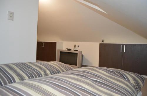 Velke Losiny Apartment | Domeček Losiny