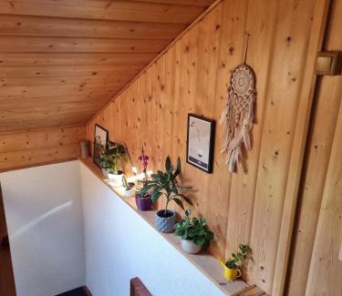 Raspenava Apartment | Domeček u Grizzlyho
