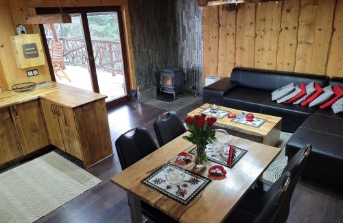 Kamionka Wielka Cabin | DOMEK NA GÓRACH z GORĄCĄ BALIĄ