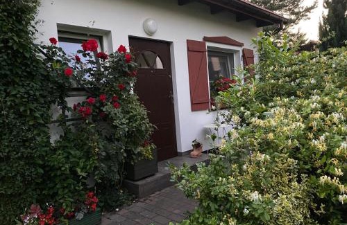 Lidzbark Welski Apartment | Domek przy lesie Mazury - noclegi całoroczne