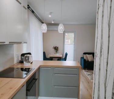 Podmacharce House | Domek Sarnia